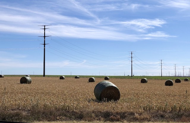 Rodillos de paja en el Midwest